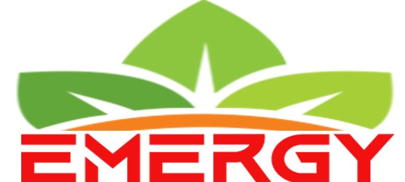 Emergy Group